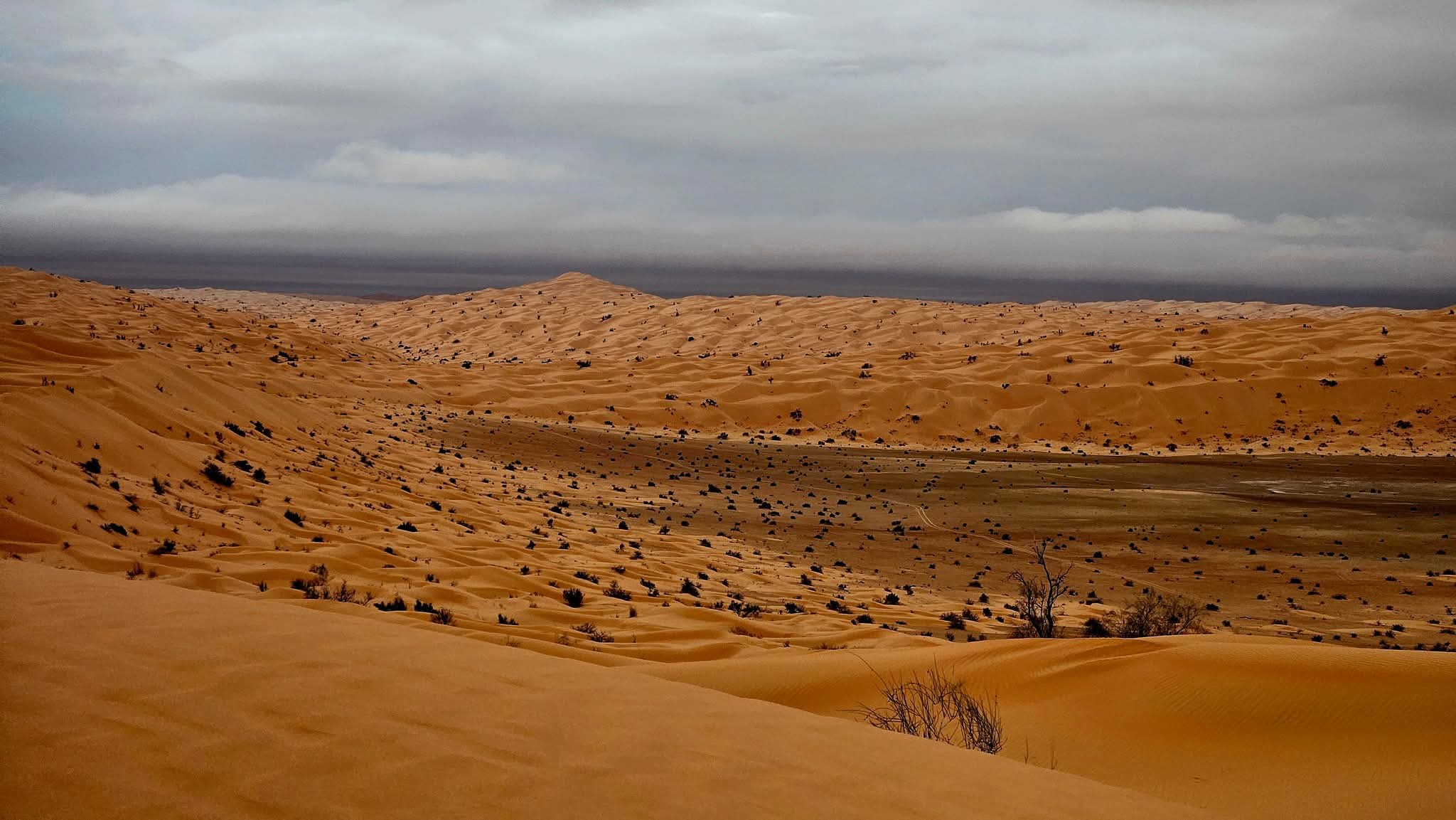 Grand Erg Oriental dunes